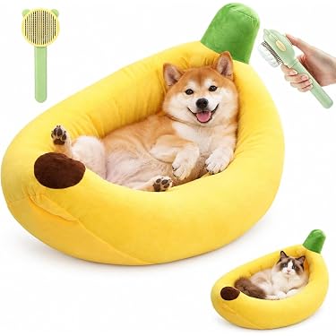 Amazon.co.jp 最新リリース: 犬用ベッド・クッション の新着ランキング